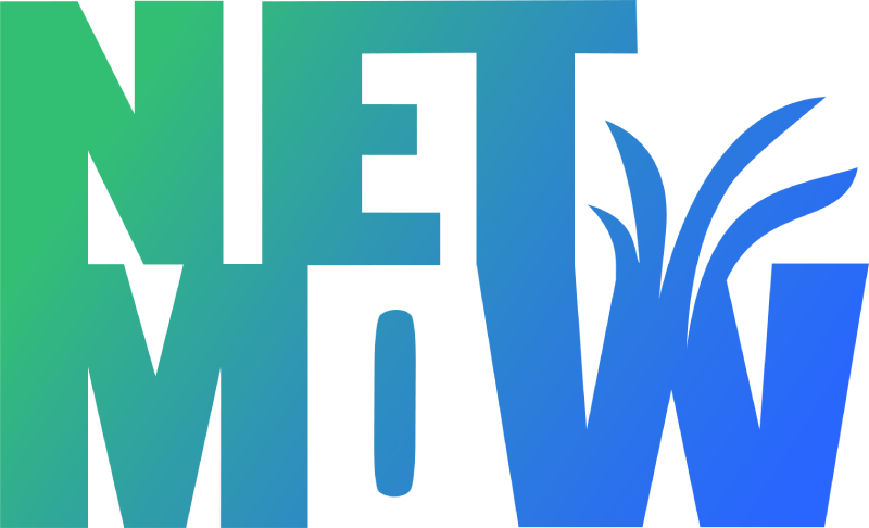 NETMOW LLC.